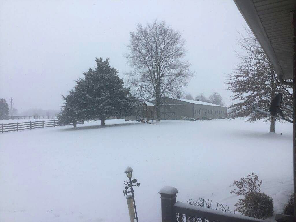 Barn and weather vane in winter snow
