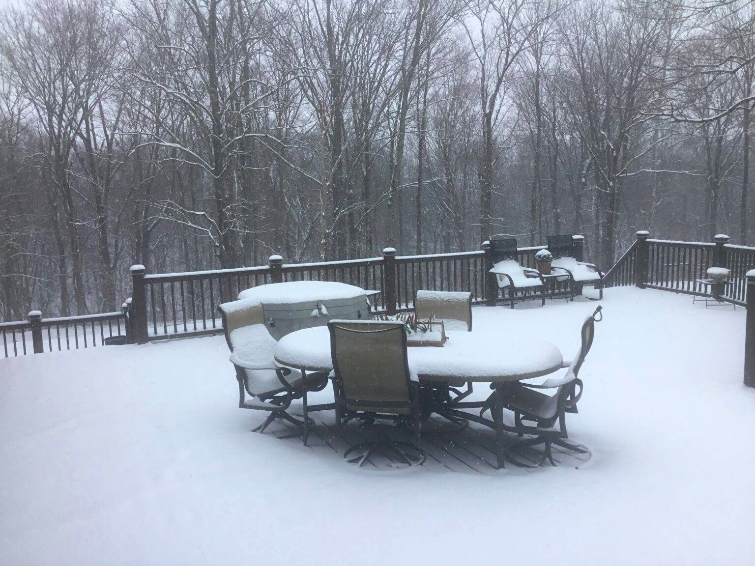 Snow-covered deck and railing in winter morning light